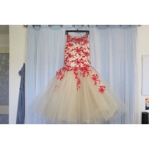 Ballet costume. Long tutu with red blossoms